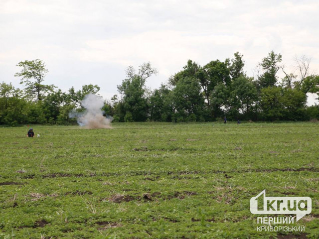 Саперы уничтожили современный боеприпас в Криворожском районе в сентябре
