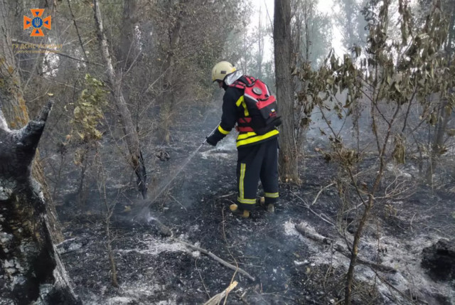 Пожарные Днепропетровщины потушили 29 пожаров в экосистемах