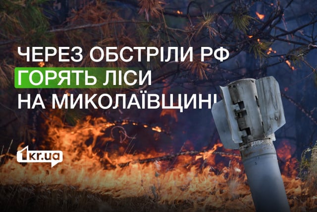 На Николаевщине из-за обстрелов РФ горят леса из-за обстрелов РФ