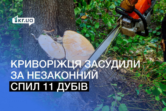Спилил 11 дубов: в Кривом Роге мужчину осудили за незаконную вырубку леса