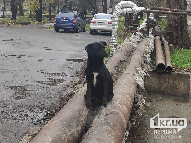 Днепропетровщина к отопительному сезону готова на 90%