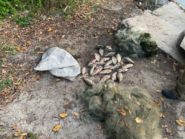 На Дніпропетровщині порушники правил рибальства завдали збитків на 40 тисяч гривень