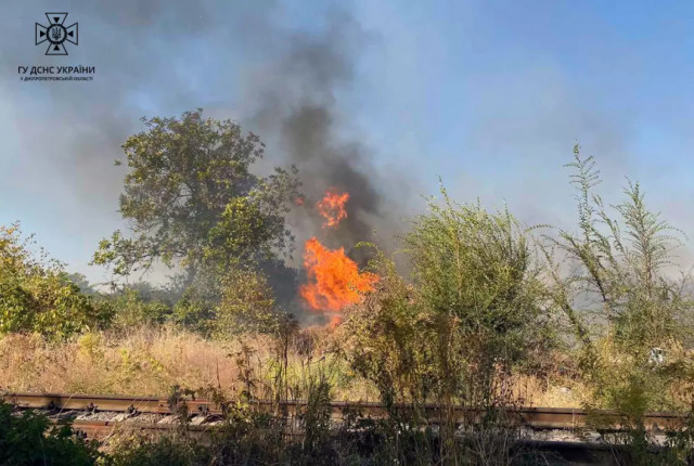 Чрезвычайники Днепропетровщины ликвидировали 78 возгораний в экосистемах
