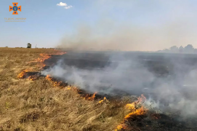 Надзвичайники Дніпропетровщини ліквідували 86 загорань в екосистемах