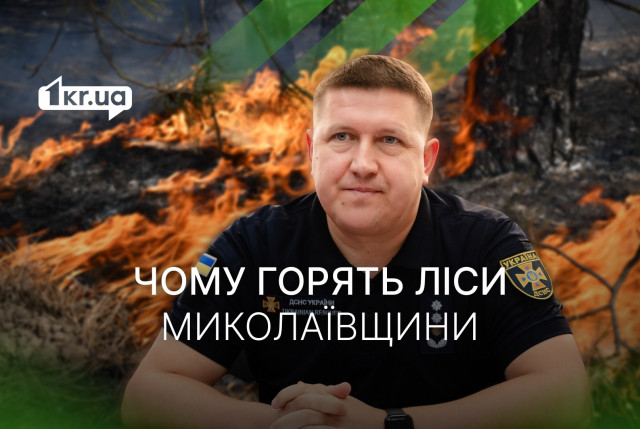 Пожары в экосистемах: спасатели Николаевщины назвали причины