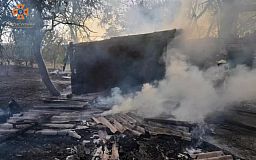 Пожарные Криворожского района потушили пожар в частном доме