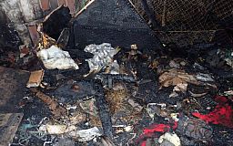 В Киеве горел приют для животных, погибли семь котов