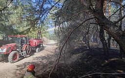 В Криворожском районе горел хвойный лес