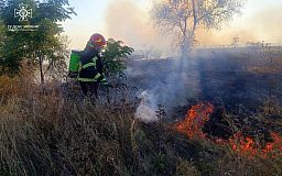 С начала года экосистемы Днепропетровщины горели более 3,6 тысячи раз