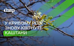 В Кривом Роге осенью цветут каштаны: что говорят об этом биологи