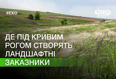 Главное фото новости