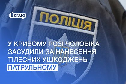 Ударил полицейского во время патрулирования: в Кривом Роге осудили мужчину