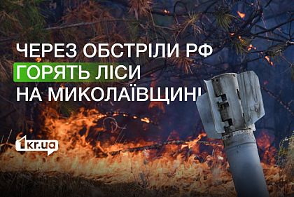 На Миколаївщині через обстріли РФ горять ліси
