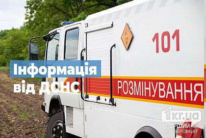 В Кривом Роге проверили учебные заведения и суды на заминирование: какие результаты