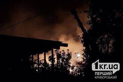 Ночью в Кривом Роге горело дерево