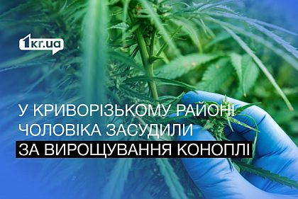 Вырастил 17 кустов конопли в саду: в Криворожском районе осудили мужчину