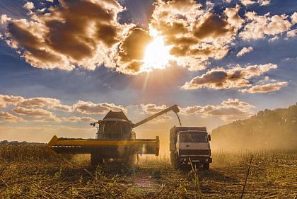 В Днепропетровской области собрали 20% подсолнечника