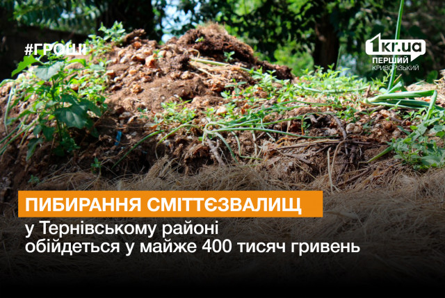 Прибирання звалищ у Тернівському районі обійдеться криворіжцям у майже 400 тисяч гривень