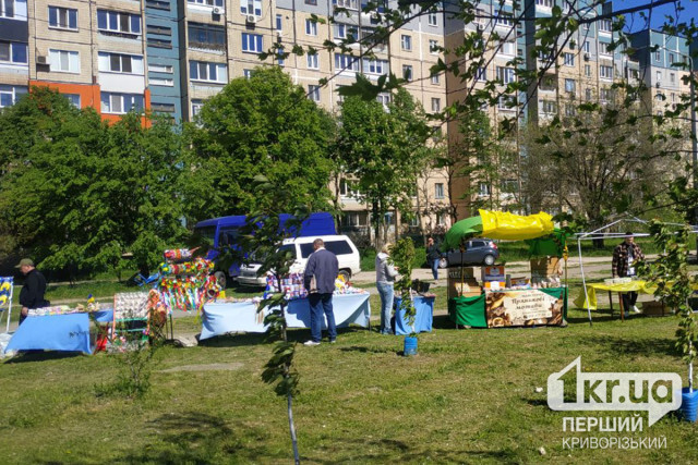 Для криворожан устроили праздник в парке «Счастье»