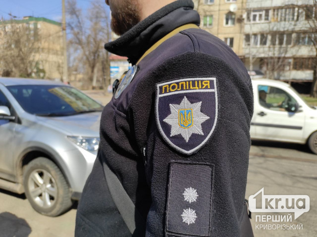 У Кривому Розі затримали чоловіка, який кидав каміння у поліцейського