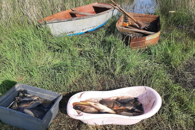 В Криворожском районе задержали мужчину, который ловил рыбу в нерест