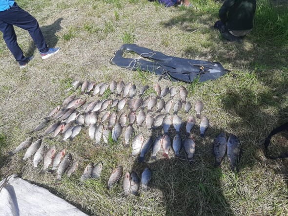 На Дніпропетровщині рибалка порушив нерестову заборону: які збитки