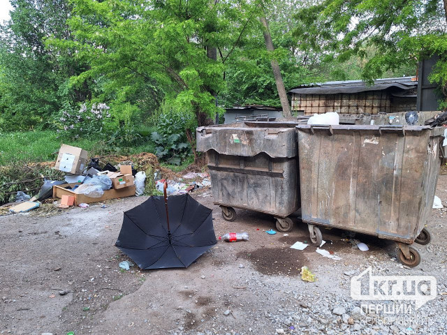 Гори сміття та болото: мешканці Кривого Рогу скаржаться на сміттєзвалища