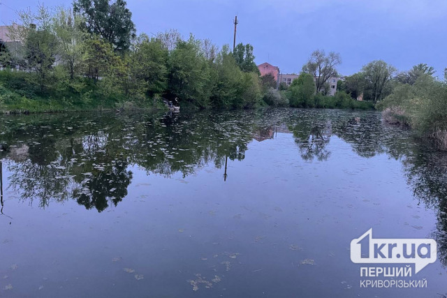 В Никопольском районе подтопленными остается 31 частный дом