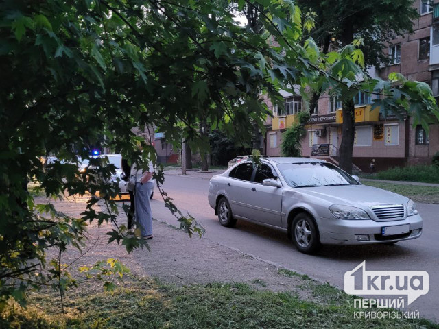 ДТП в Кривом Роге: авто сбило 8-летнюю девочку, которая переходила дорогу в неположенном месте
