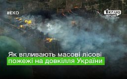 Украина в огне: как влияют массовые лесные пожары на окружающую среду