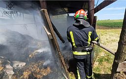 Спасатели потушили пожар в Криворожском районе