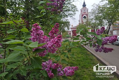 Погода в Кривом Роге 2 мая