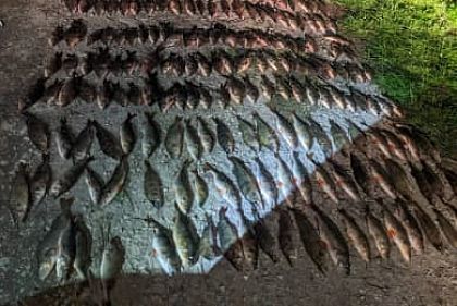 В Криворожском районе браконьеры нанесли более 590 тысяч гривен ущерба