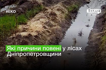 Какие причины наводнения в лесах Днепропетровщины