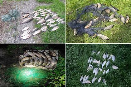 В Днепропетровской области нарушители правил рыболовства нанесли убытков на 1 миллион гривен