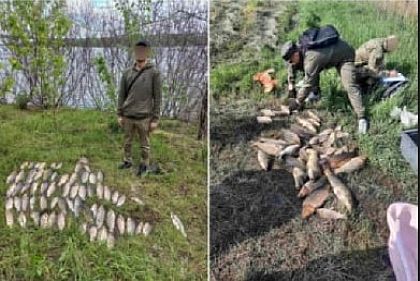 На Днепропетровщине за неделю нарушители наловили рыбы на 800 тысяч гривен ущерба