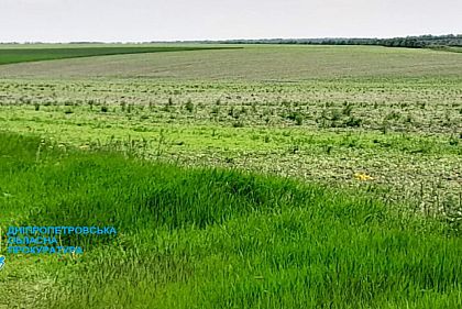 На Днепропетровщине государству вернули земли заповедника стоимостью более 12 миллионов гривен