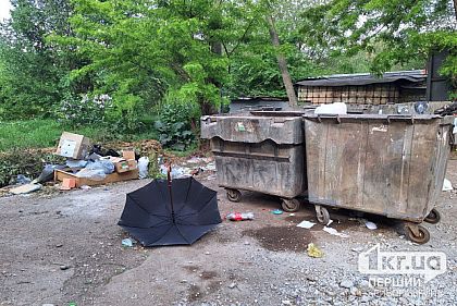 Горы мусора и болото: жители Кривого Рога жалуются на свалки