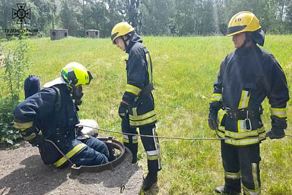 Криворожские чрезвычайники спасли упавшего в колодец кота