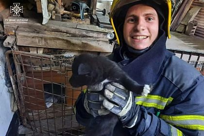 Криворожские спасатели освободили щенка из ловушки