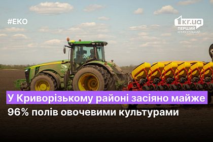 В Криворожском районе засеяно почти 96% полей овощными культурами