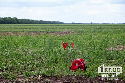 Криворожские нацгвардейцы обезвреживают российские боеприпасы