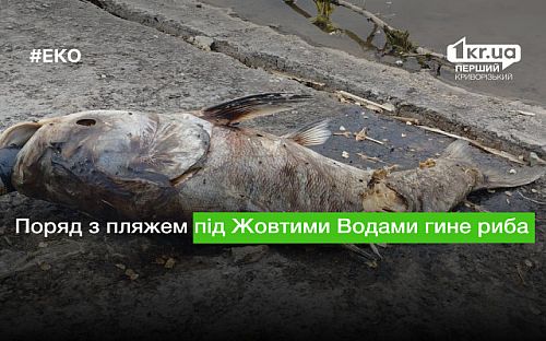 Главное фото новости