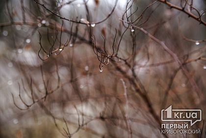 Погода в Кривом Роге 13 января