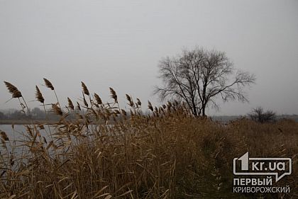 Криворожан предупреждают о порывах ветра