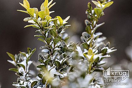 Погода в Кривом Роге 21 января