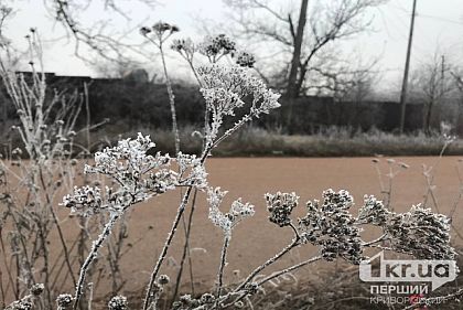 Погода в Кривом Роге 26 января