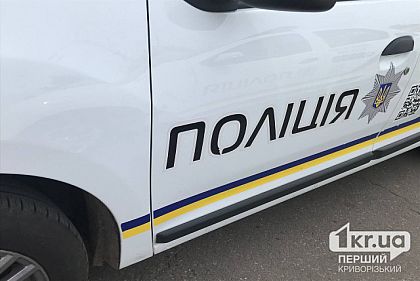 В январе патрульные Кривого Рога составили 462 админматериала за вождение в нетрезвом состоянии