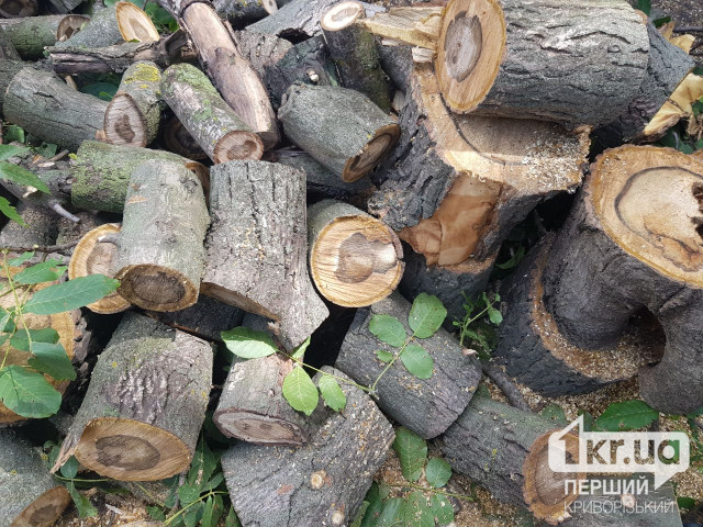 На Дніпропетровщині викрили підозрюваного, який продавав неіснуючу деревину