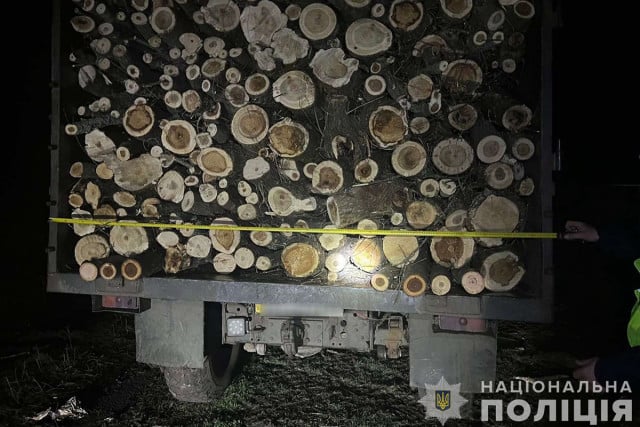 На Дніпропетровщині виявили вантажівку, що була вщент заповнена деревиною без документів